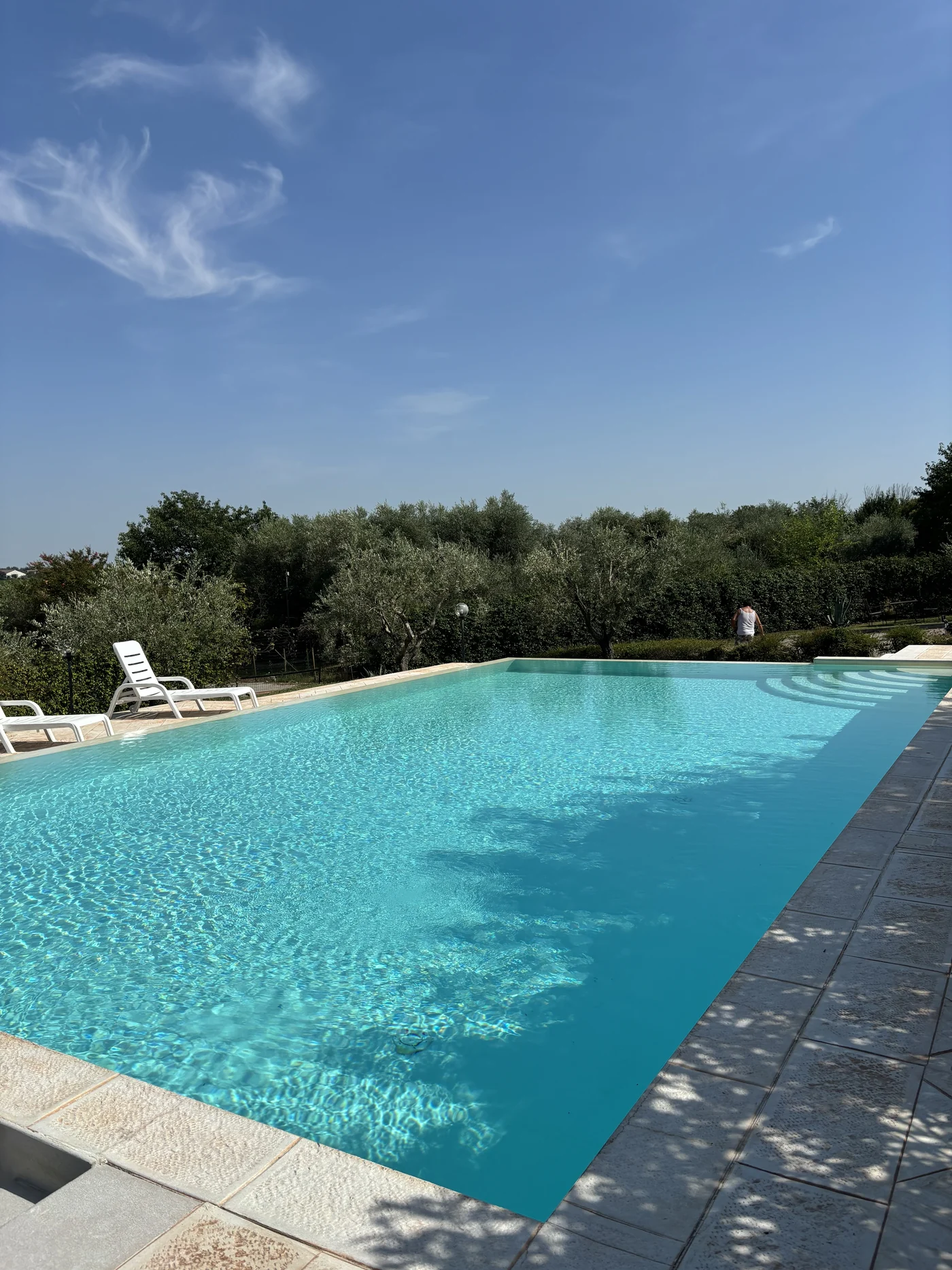 Piscina all'aperto tra ulivi e prati